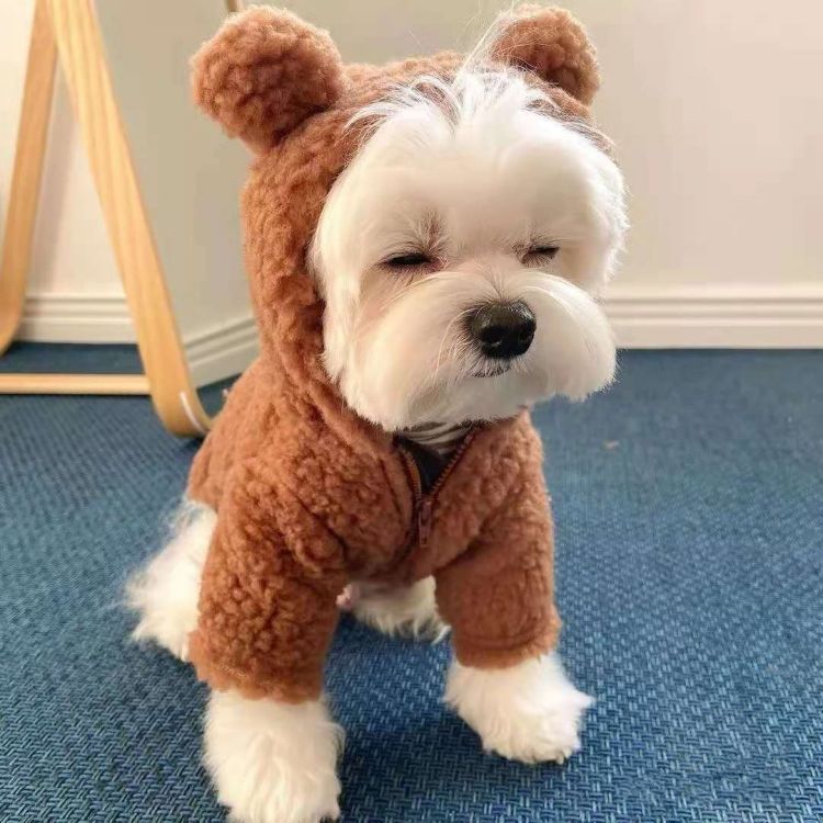 Cute Teddy Bear Fleece Hoodie for Dogs - Warm Pet Outfit for Bichon and Small Breeds