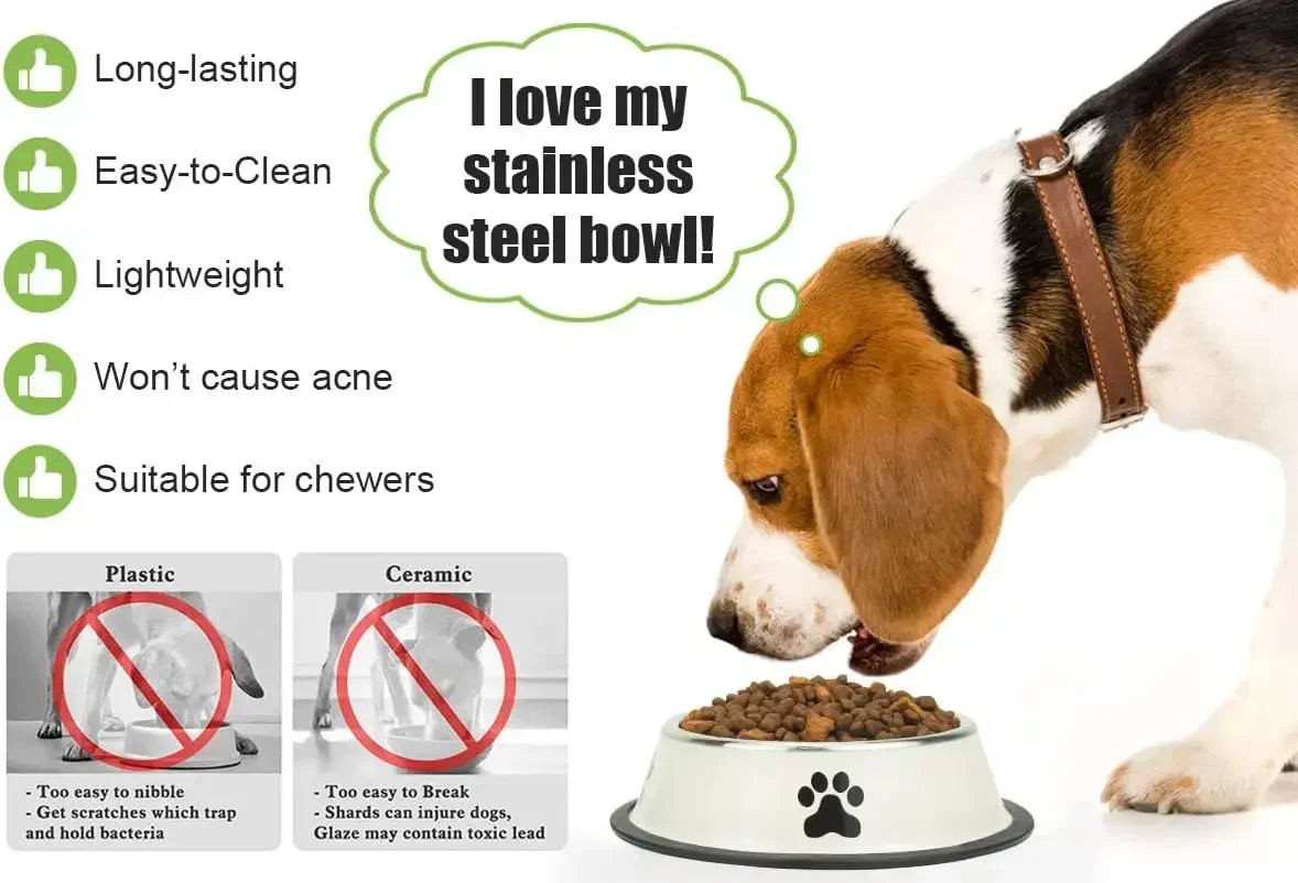 Anti-Skid Dog Bowl
