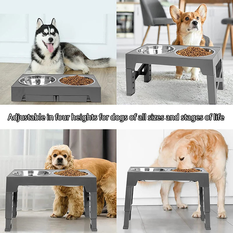 PawElevate Adjustable Dog Feeder