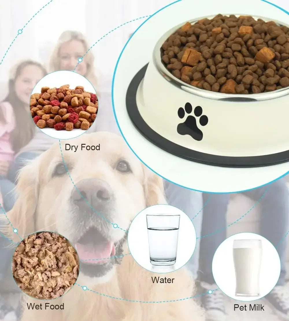 Anti-Skid Dog Bowl