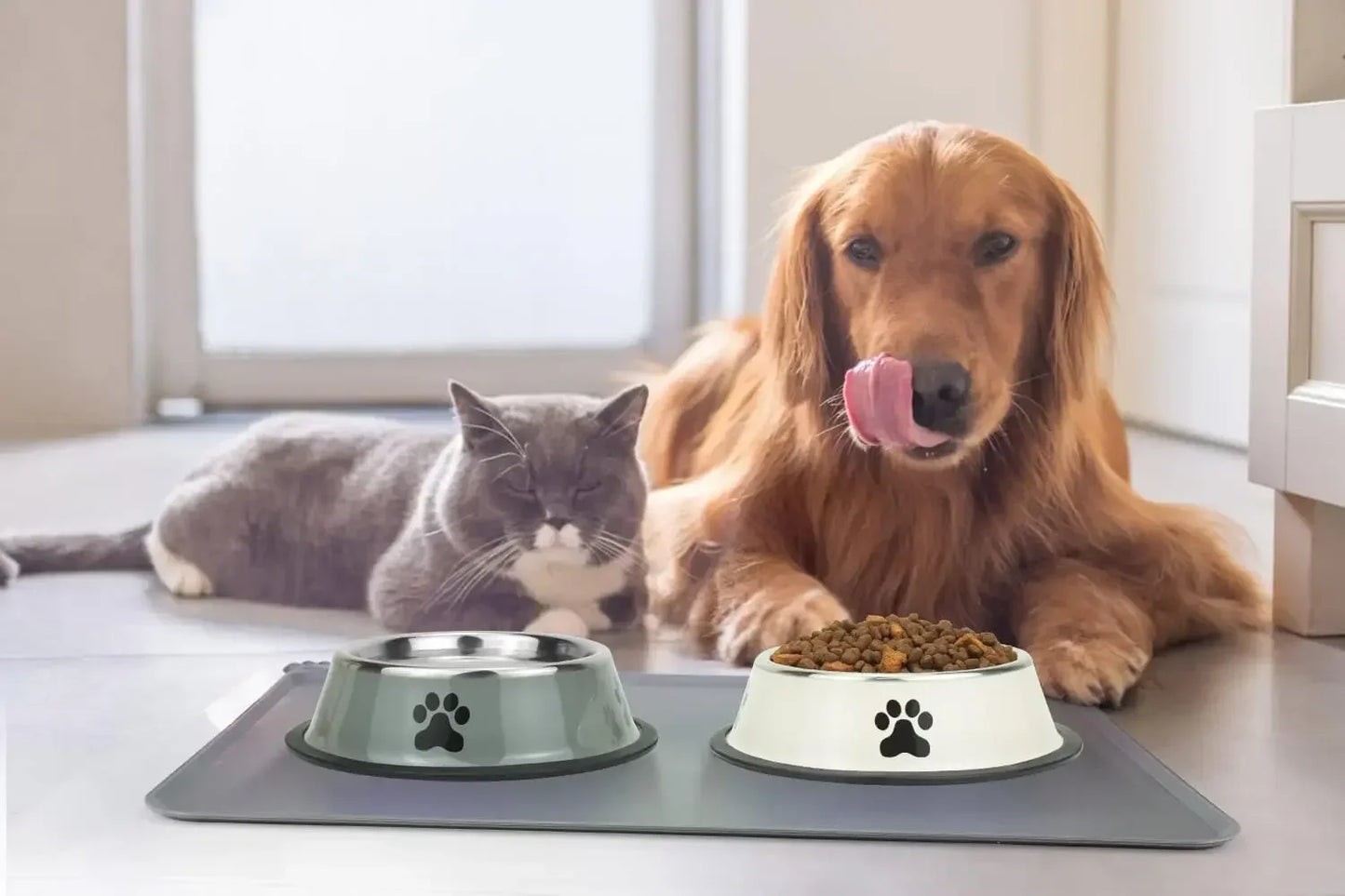 Anti-Skid Dog Bowl