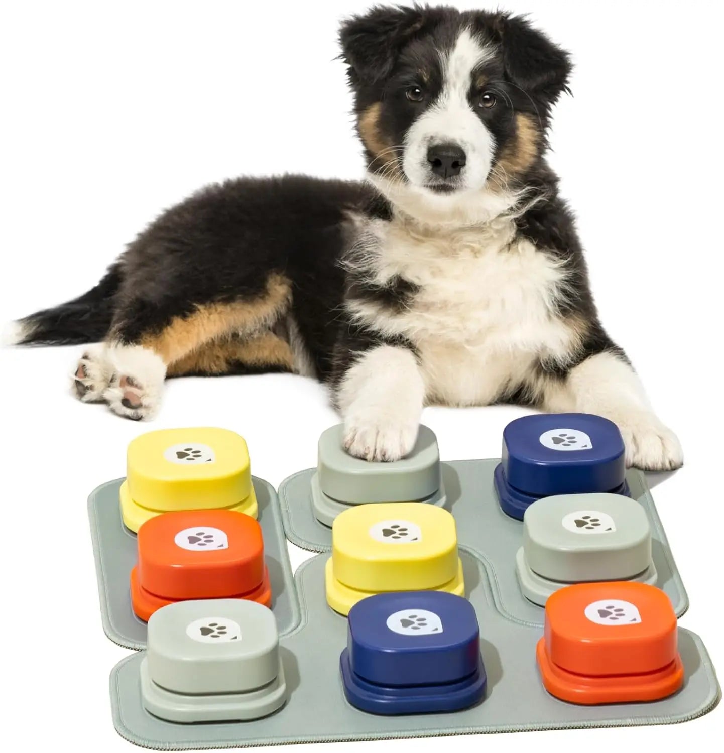 Dog Button Record Talking Pet Communication Vocal Training Interactive