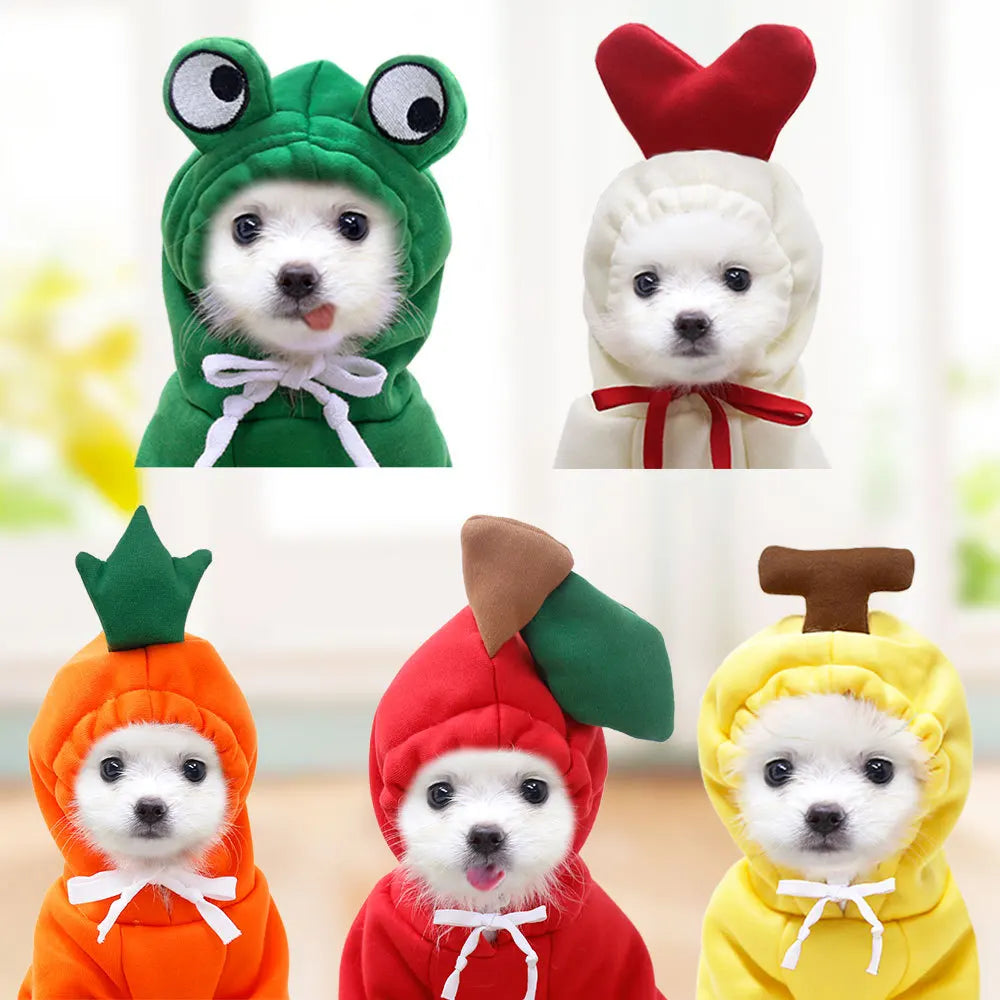 FruityPaws Winter Dog Hoodie