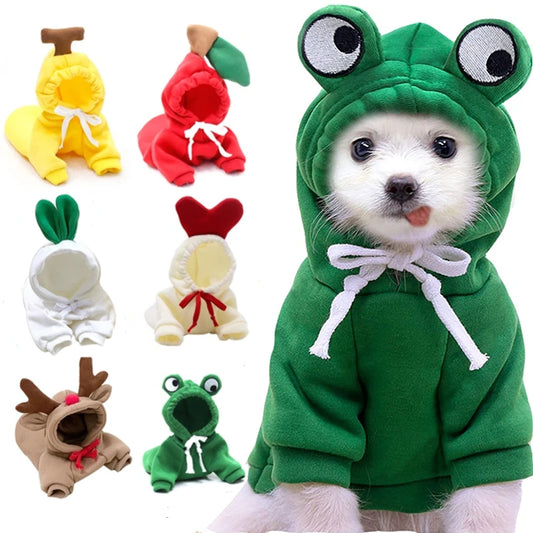 FruityPaws Winter Dog Hoodie